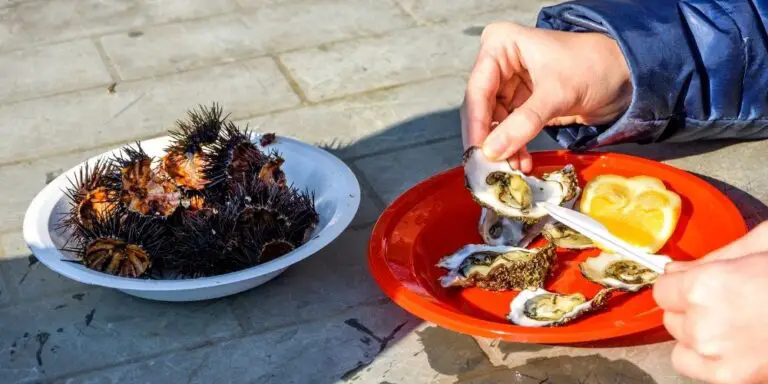 How To Eat Sea Urchin? Step Wise Guide