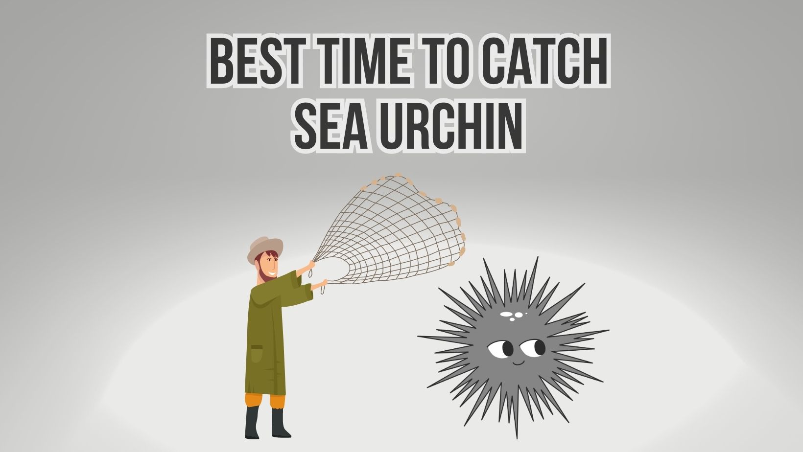 Best Time To Catch Sea Urchin