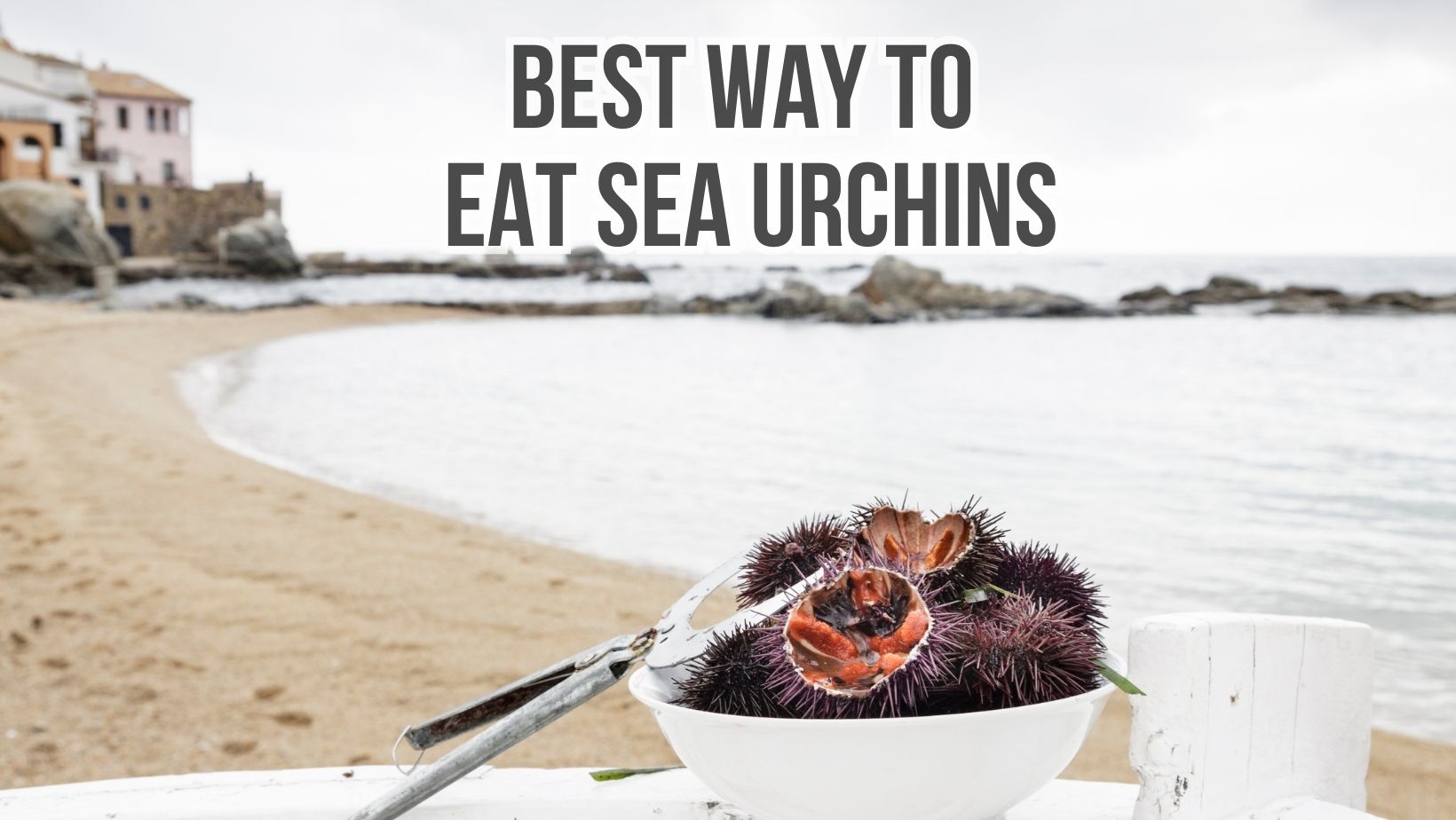 Best Way To Eat Sea Urchins