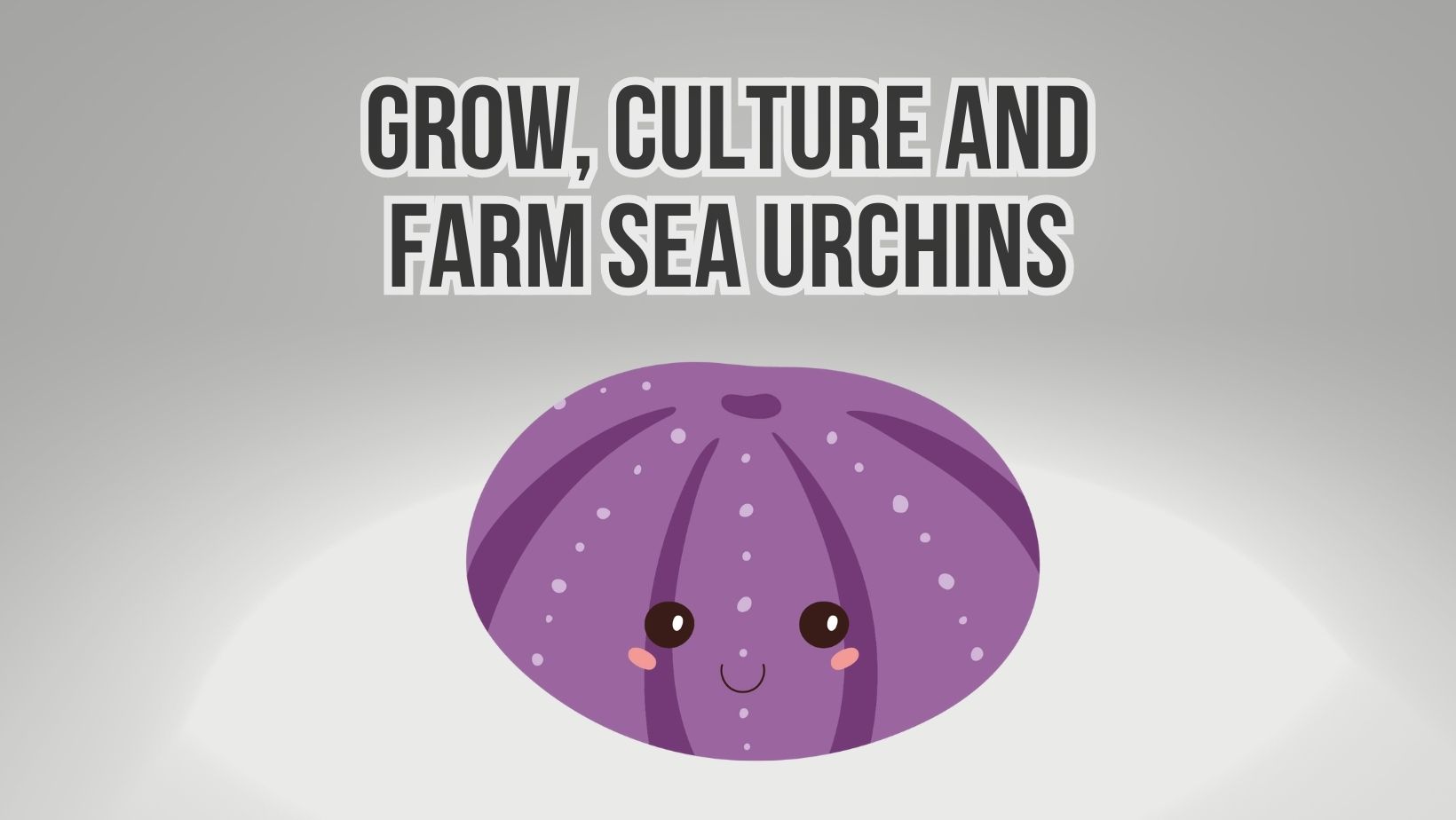 Grow, Culture And Farm Sea Urchins