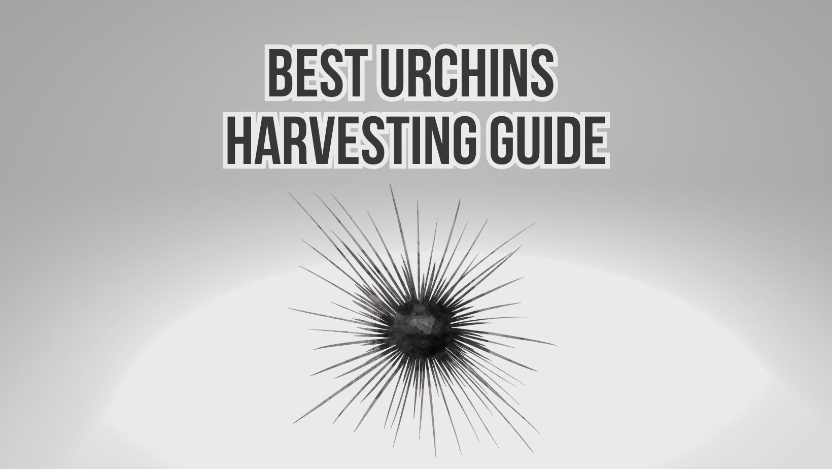 Sea Urchin Harvesting