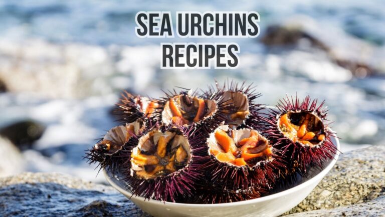 14 Amazing Sea Urchin Recipes