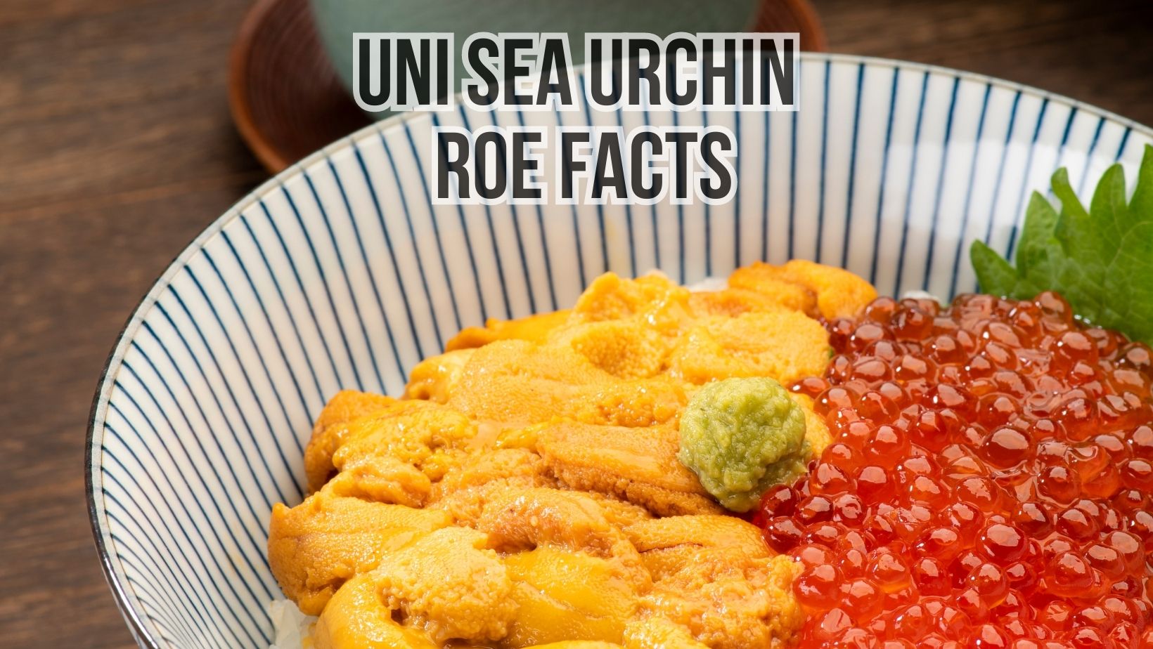 Uni Sea Urchin Roe Facts