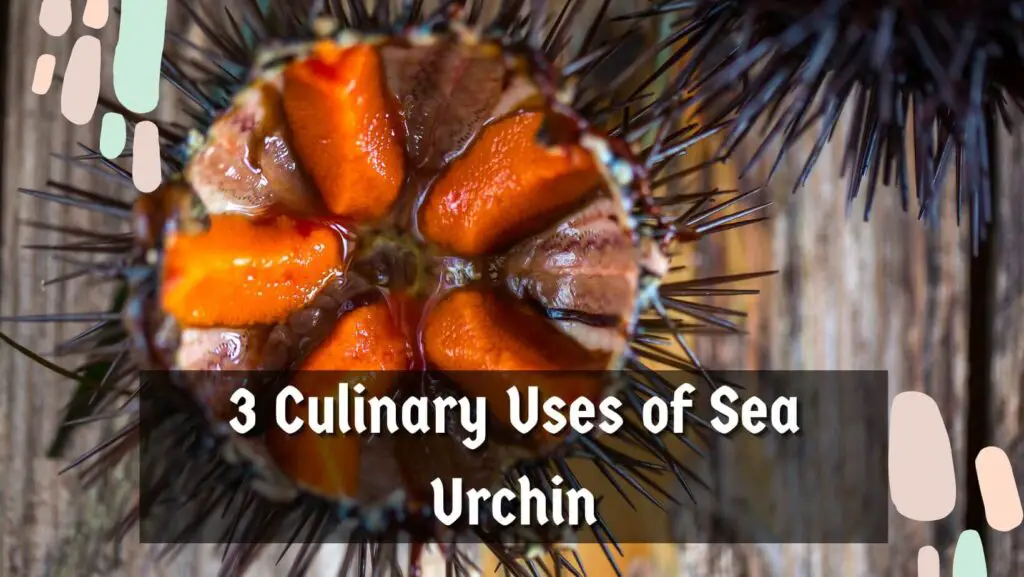 3 Culinary Uses of Sea Urchin