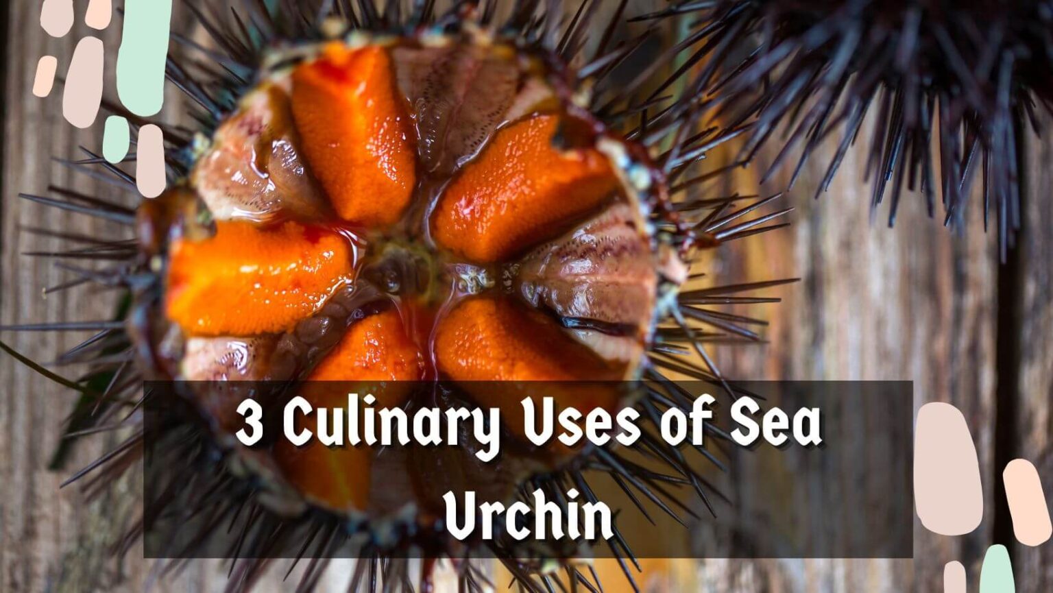 What Does Sea Urchin Taste Like? (5 FLavor Profile)