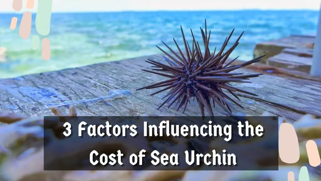 How Expensive Is Sea Urchin?