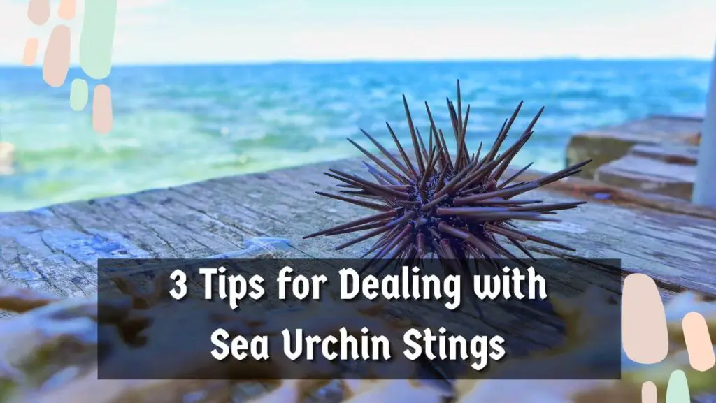 3 Tips for Dealing with Sea Urchin Stings