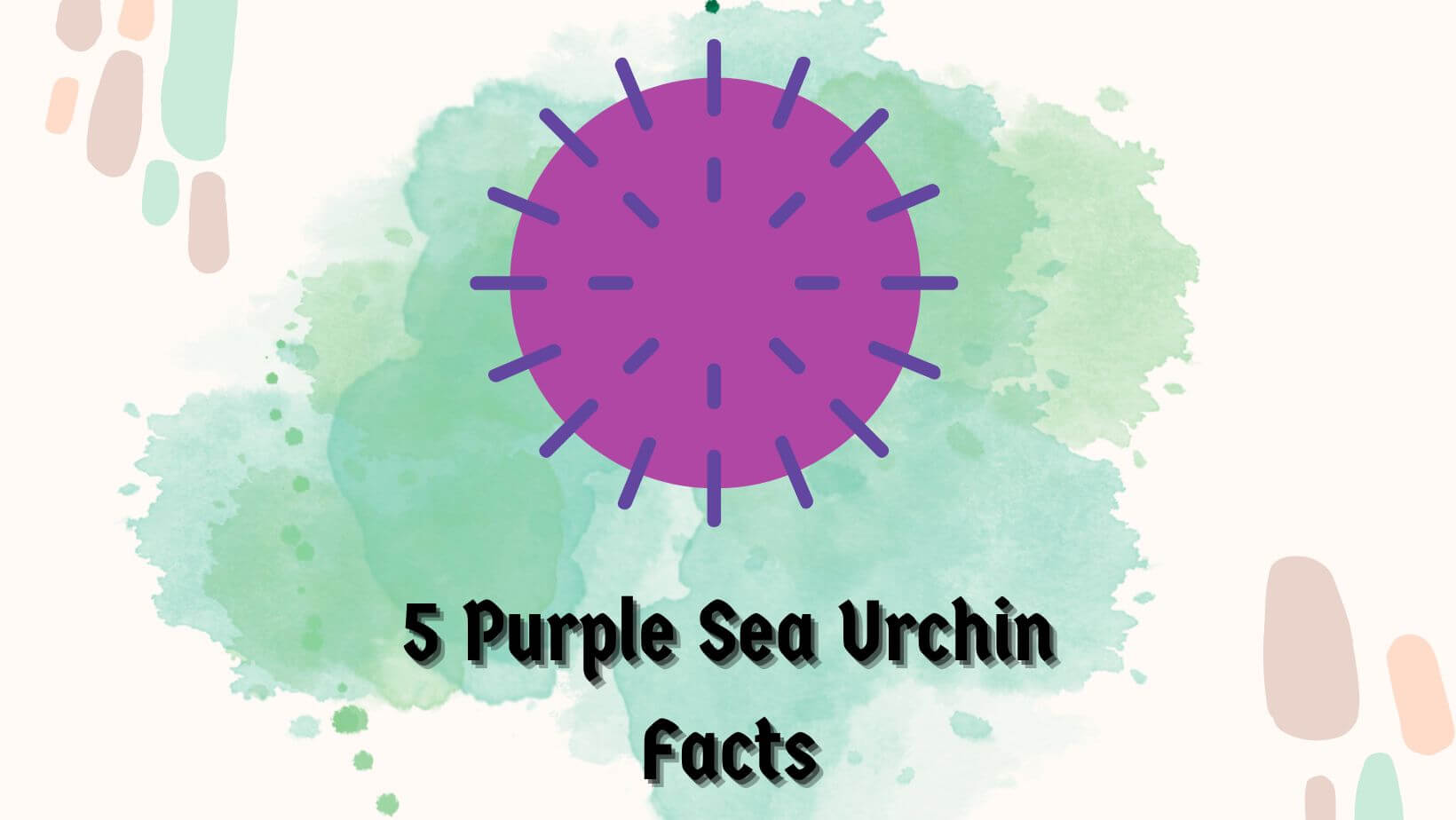 5 Purple Sea Urchin Facts