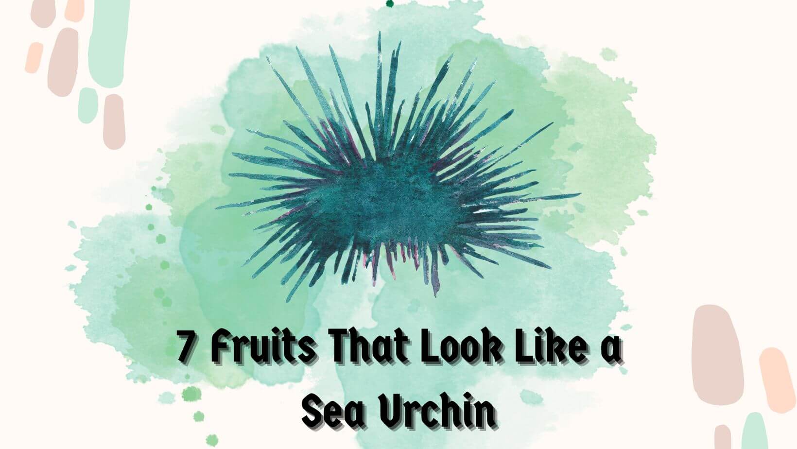 7 Fruits That Look Like a Sea Urchin 