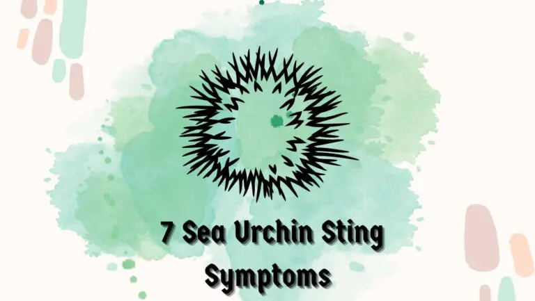 7 Sea Urchin Sting Symptoms: Understanding, Treatment, & Prevention