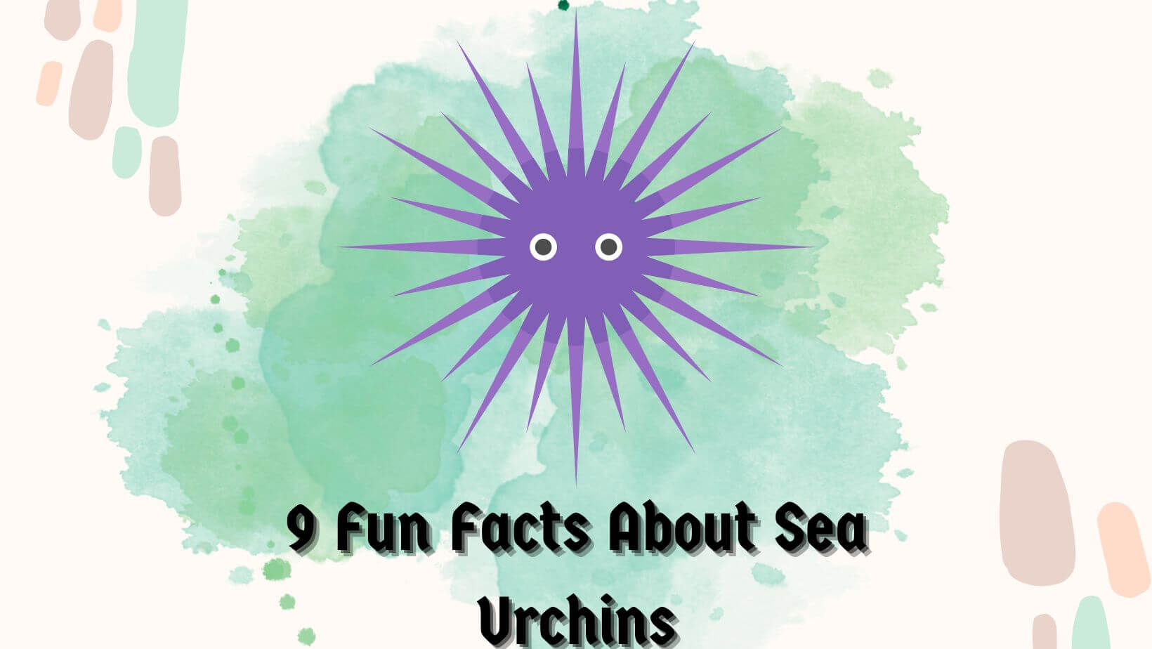 9 Fun Facts About Sea Urchins