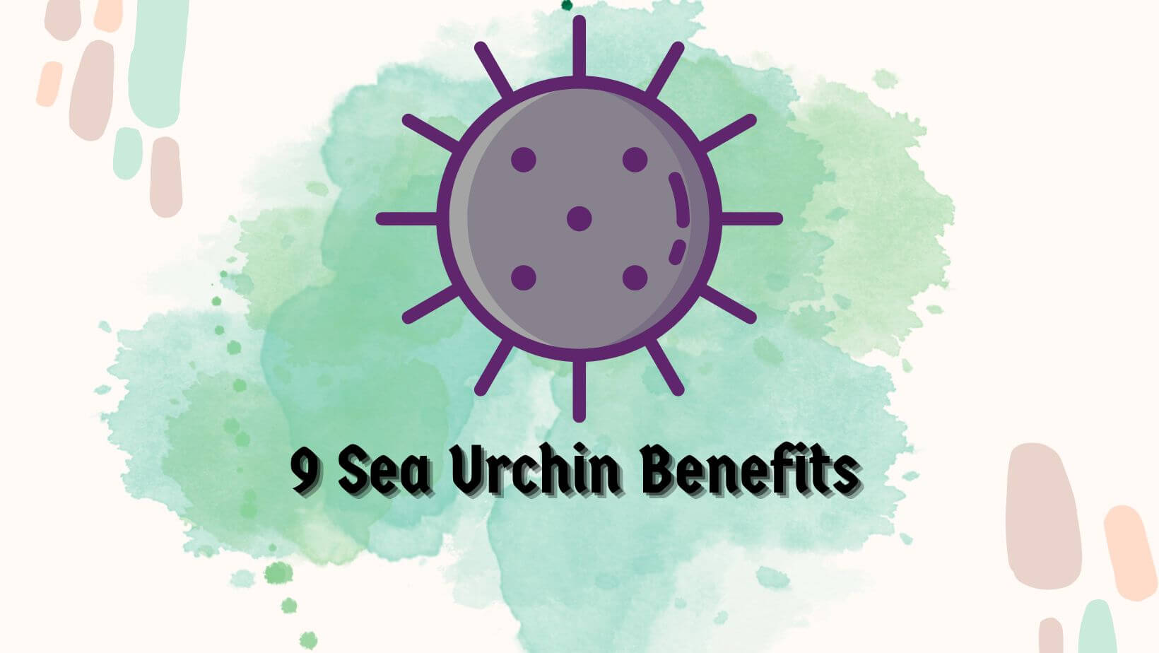 9 Sea Urchin Health Benefits