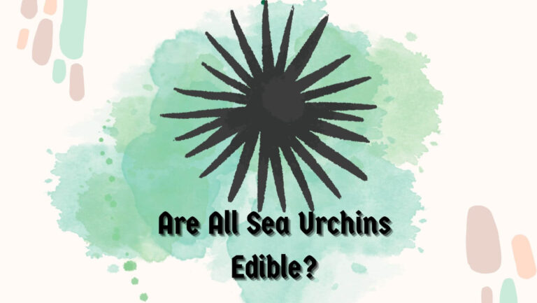 Are All Sea Urchins Edible? (3 Edible Ones, Pros & Cons)