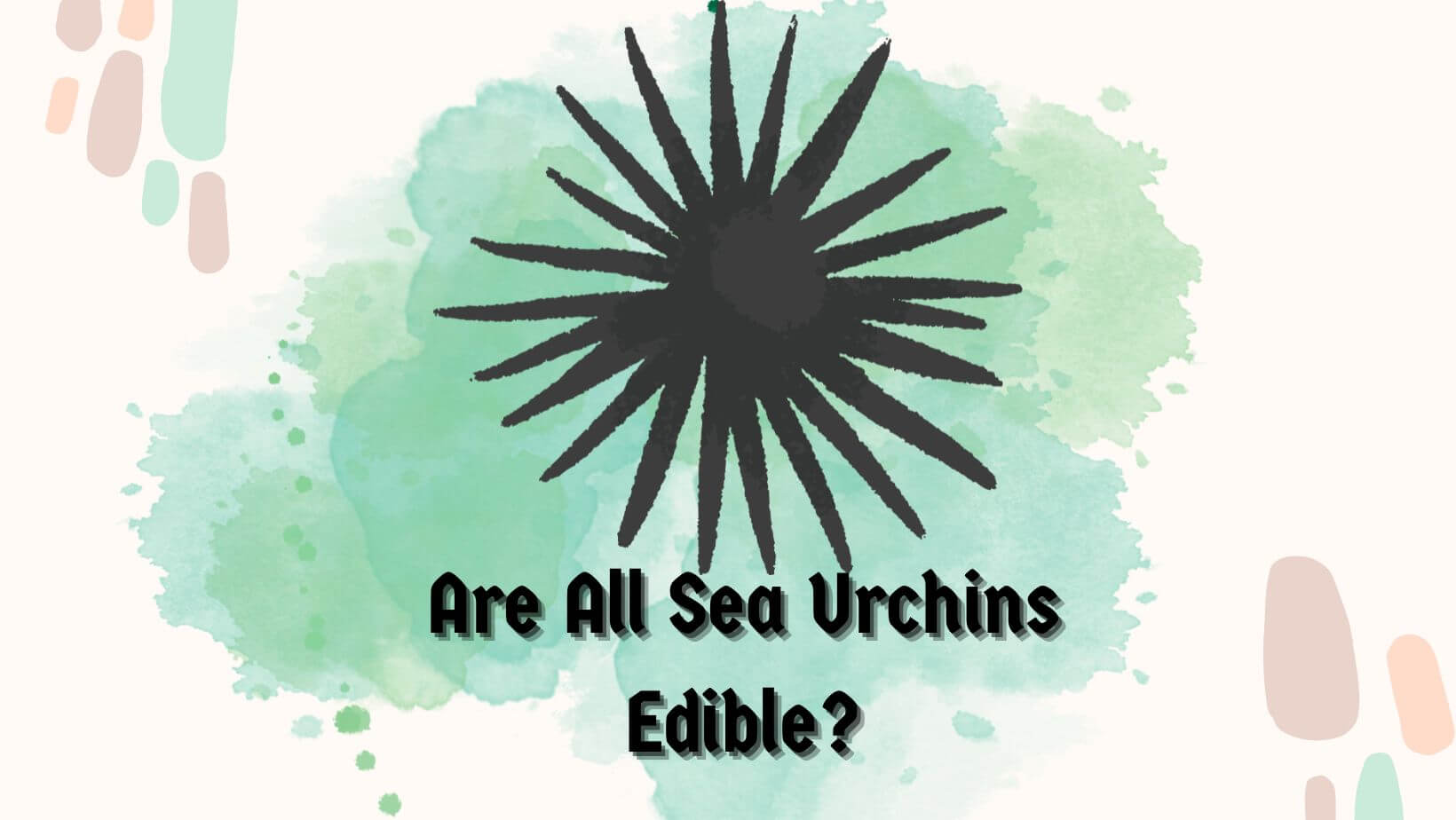 Are-All-Sea-Urchins-Edible