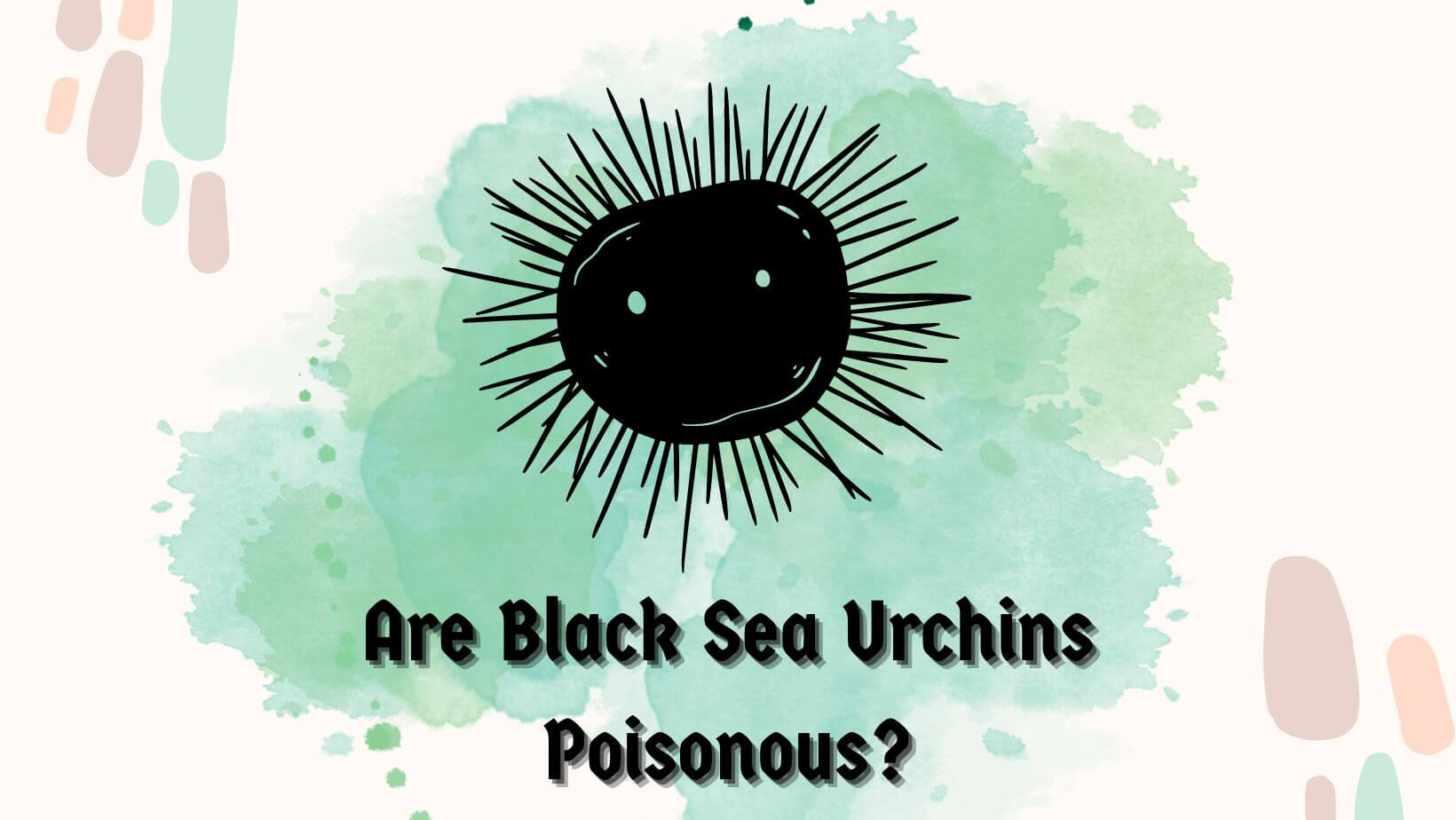 Are Black Sea Urchins Poisonous?