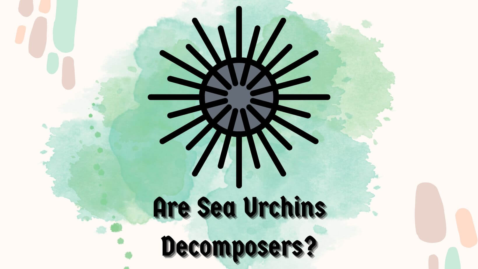 Are Sea Urchins (Case Studies & Evidence) Sea Urchins Mag