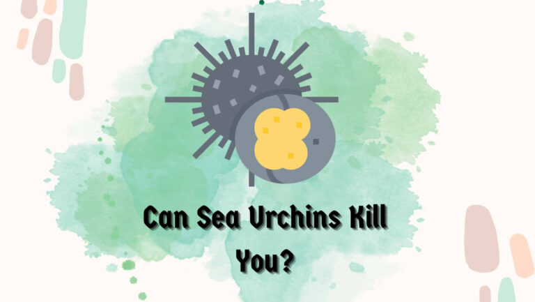 Can Sea Urchins Kill You? 3 Risks