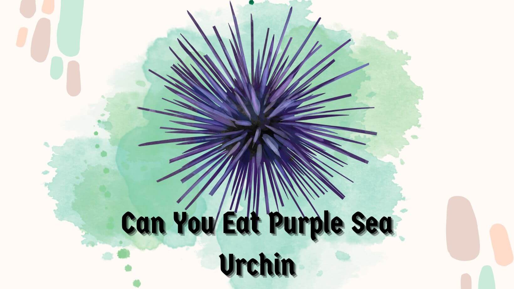 Can You Eat Purple Sea Urchin