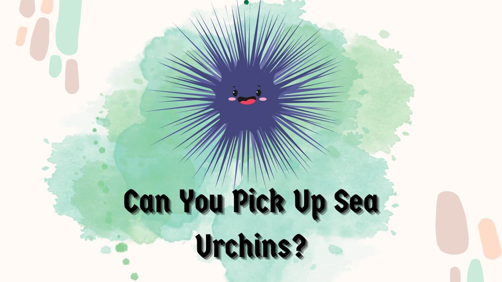 Can You Pick Up Sea Urchins?