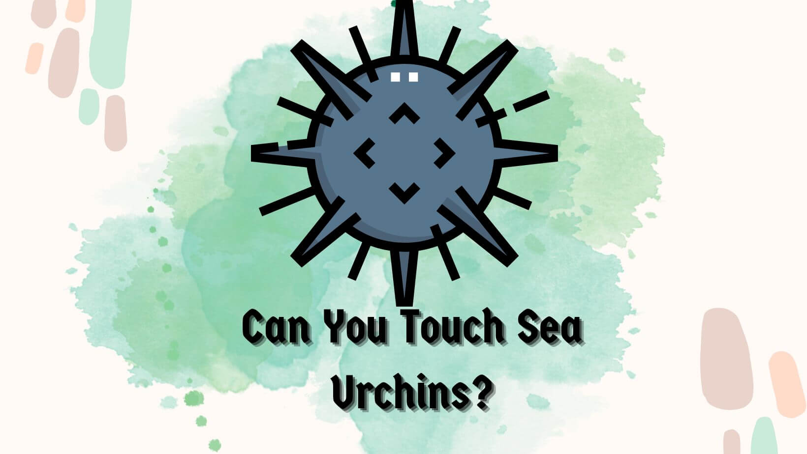 Can You Touch Sea Urchins?
