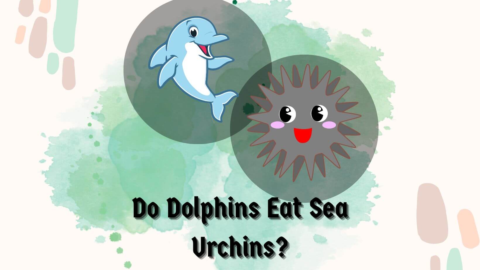 Do Dolphins Eat Sea Urchins?