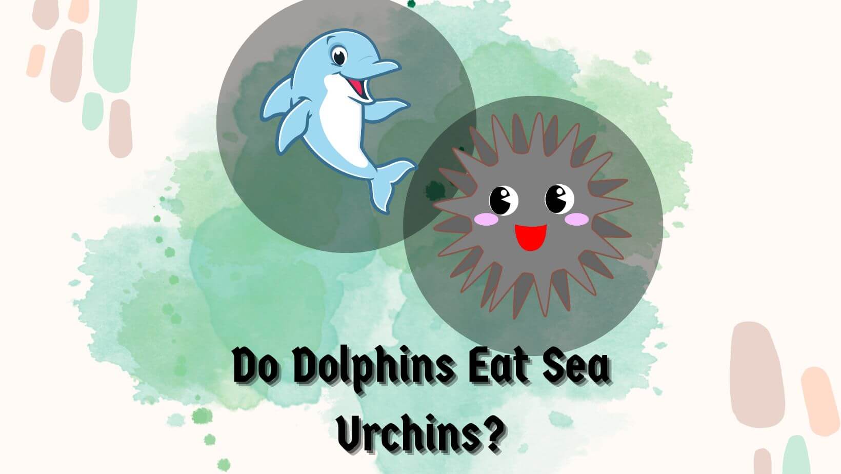 Do Dolphins Eat Sea Urchins? What About 'Sharks, Seals, Turtles