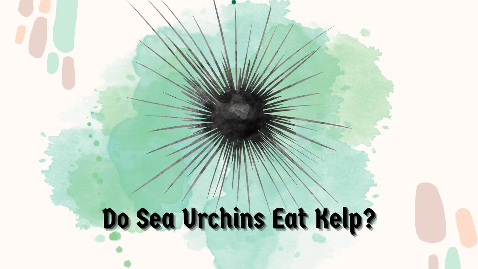 Do Sea Urchins Eat Kelp?