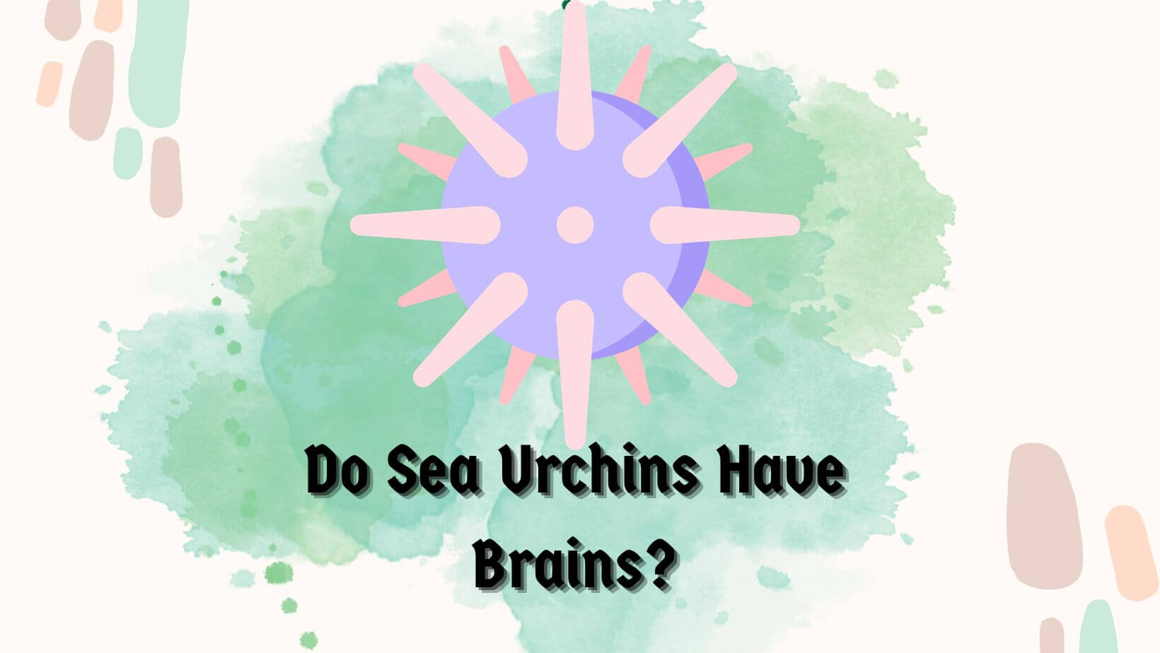 Do Sea Urchins Have Brains?