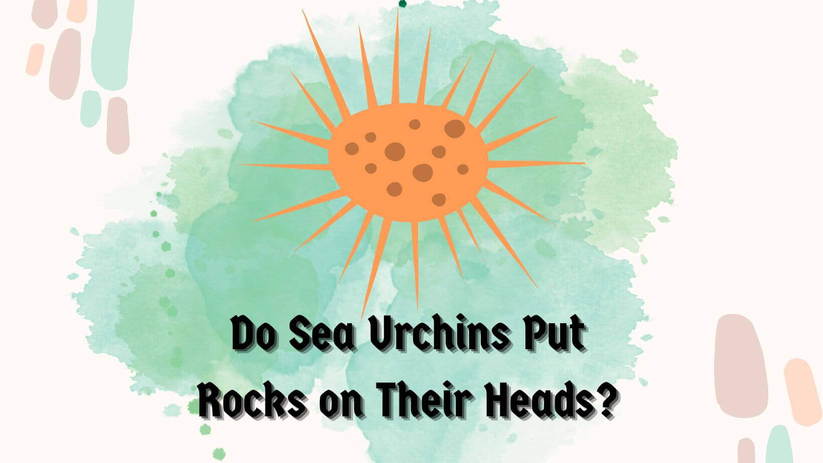 Do Sea Urchins Put Rocks on Their Heads?