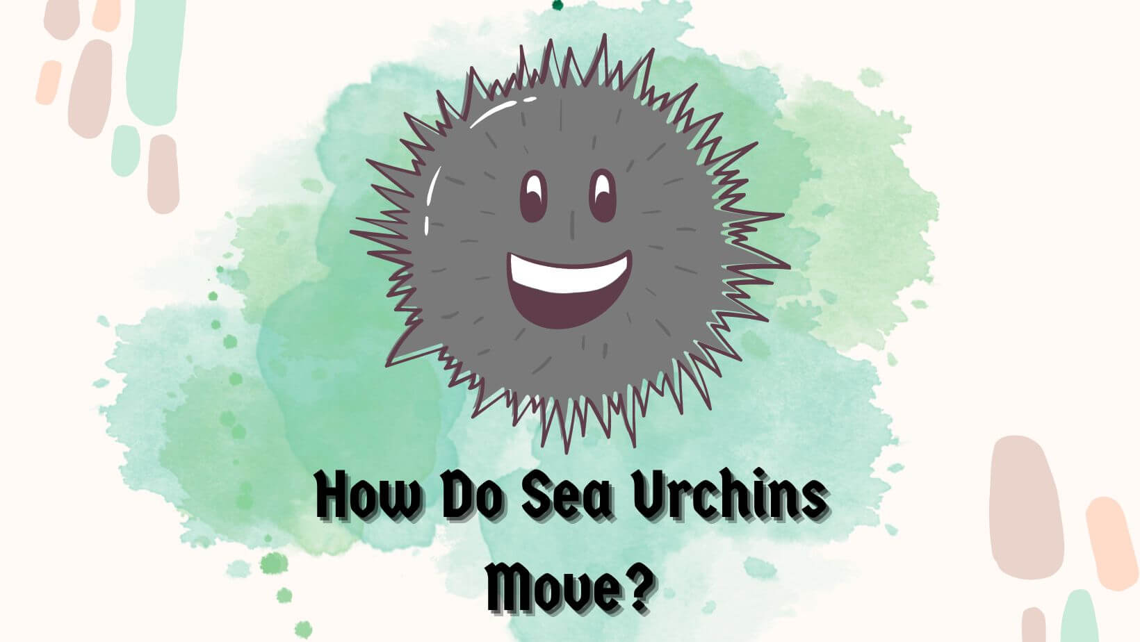 Do Sea Urchins Move?