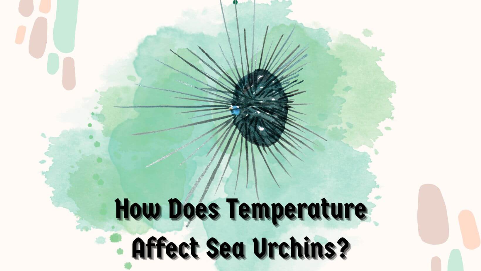 How Does Temperature Affect Sea Urchins?