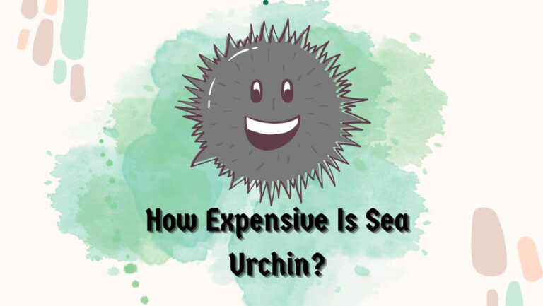 How Expensive Is Sea Urchin? (Global market trends)