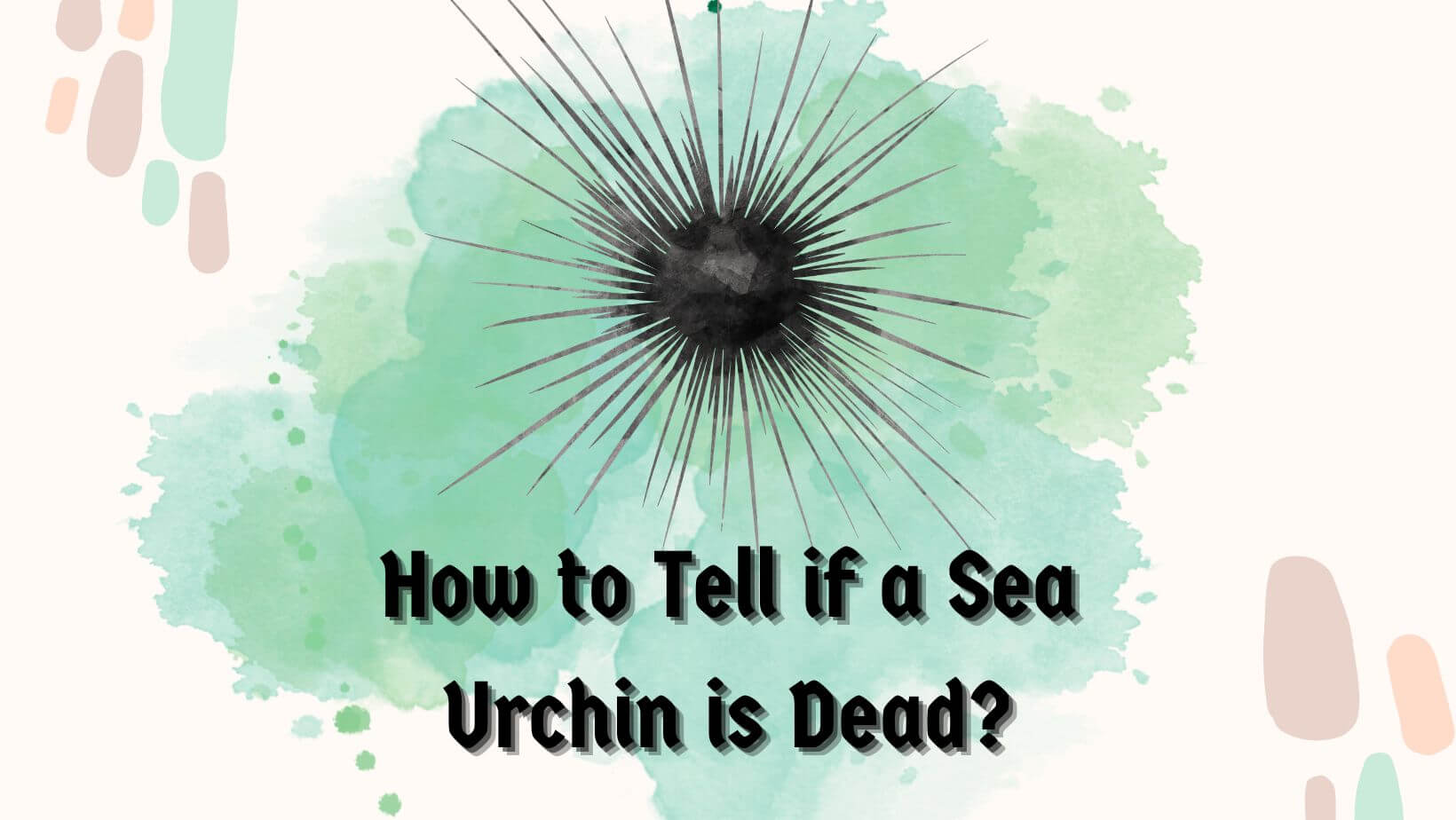 How to Tell if a Sea Urchin is Dead?
