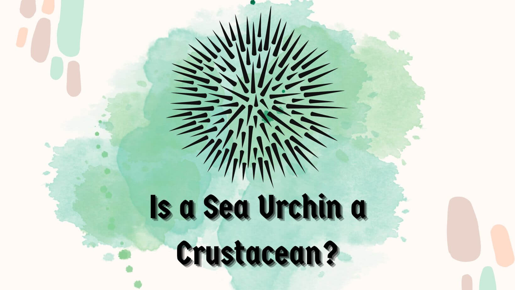 Is a Sea Urchin a Crustacean?