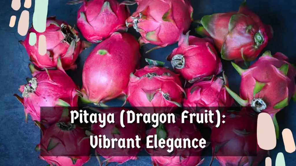 Pitaya (Dragon Fruit): Vibrant Elegance