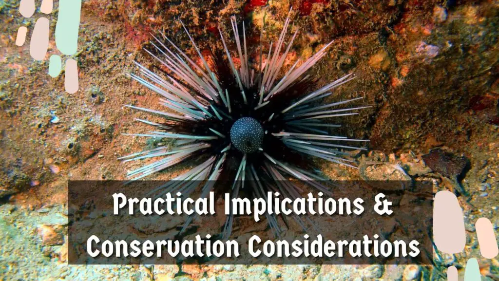 Practical Implications & Conservation Considerations