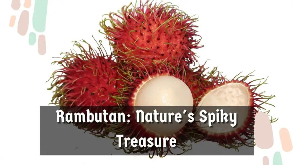 Rambutan: Nature's Spiky Treasure
