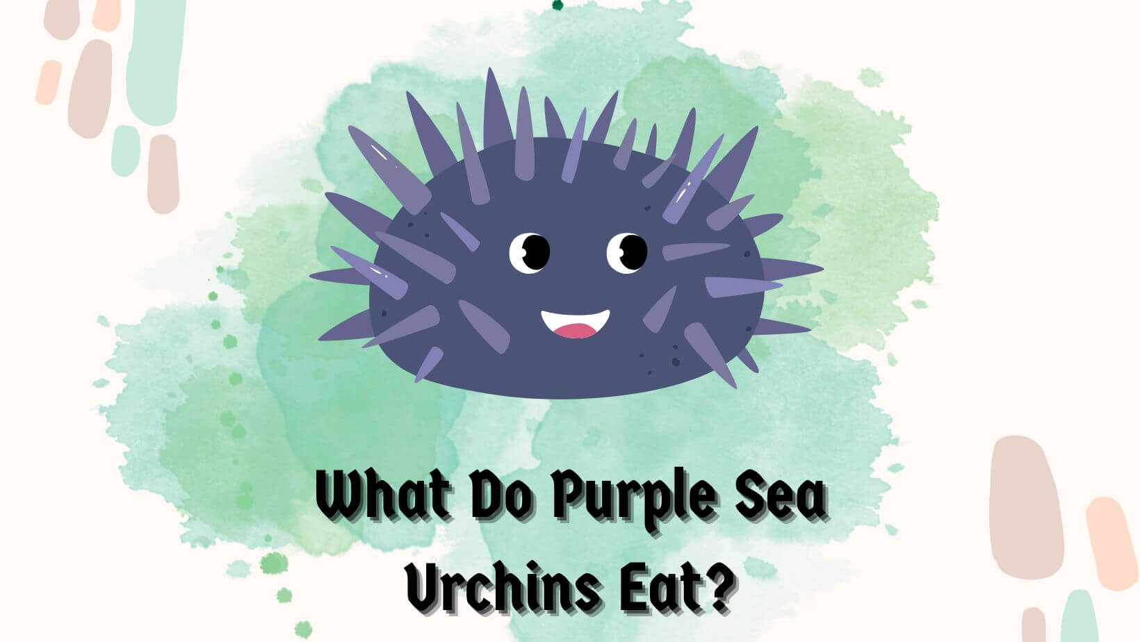 What Do Purple Sea Urchins Eat