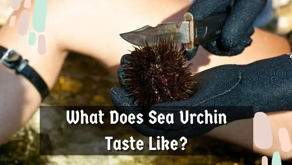 What Does Sea Urchin Taste Like?