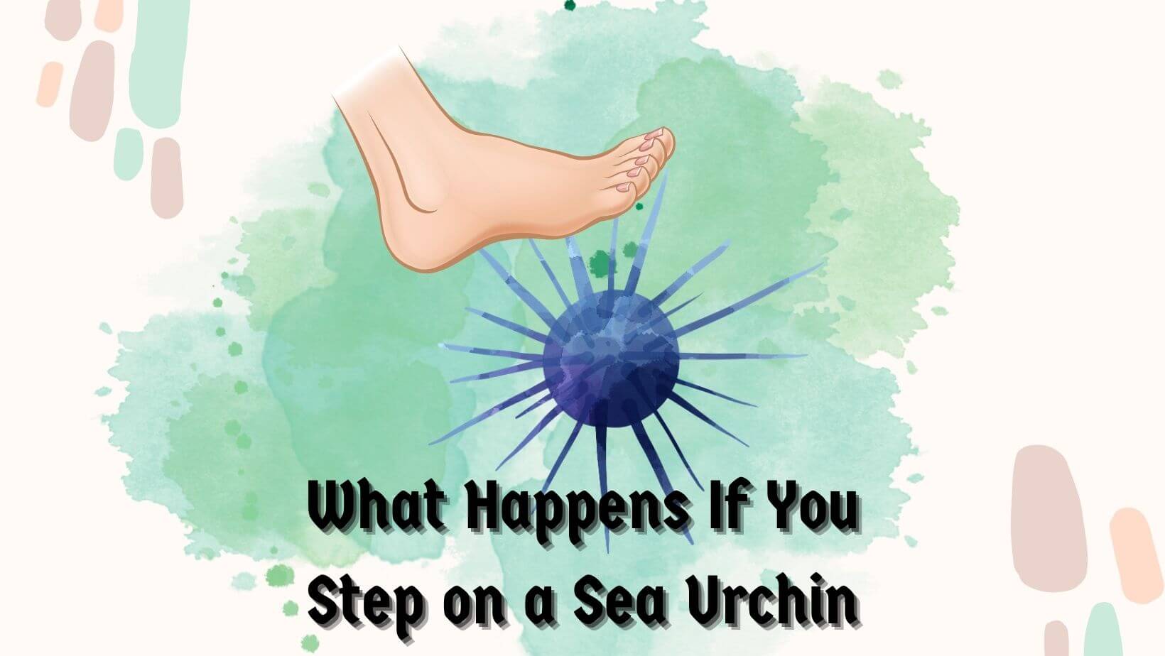 What Happens If You Step on a Sea Urchin
