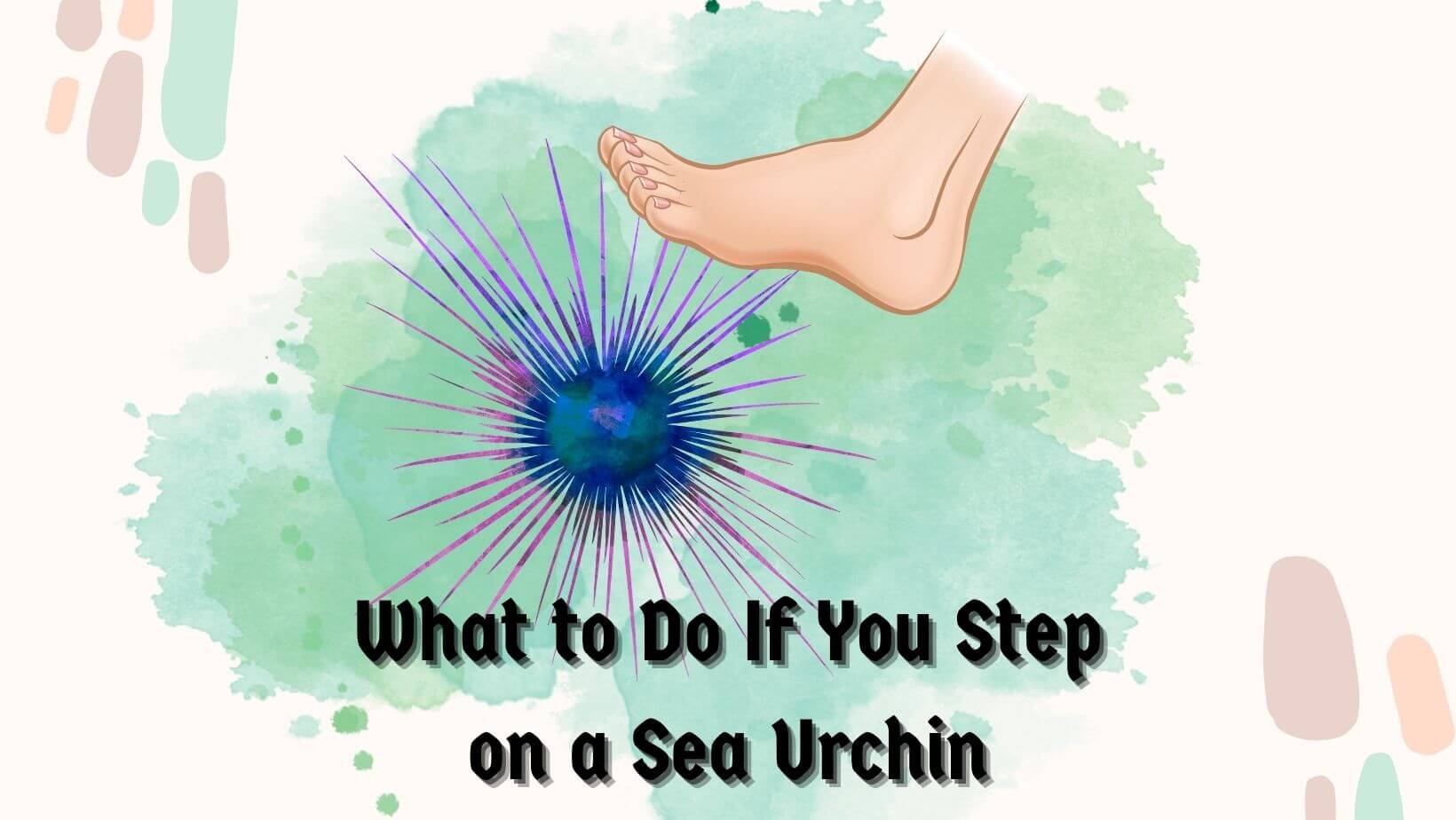 What to Do If You Step on a Sea Urchin