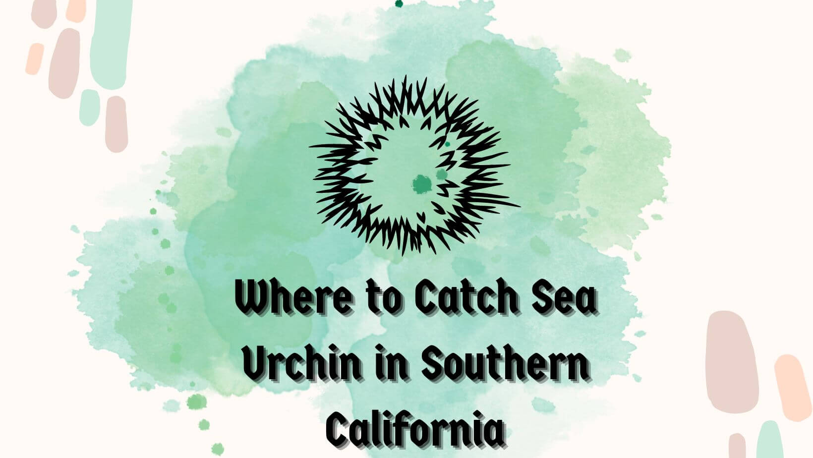 Where To Catch Sea Urchins in Southern California?